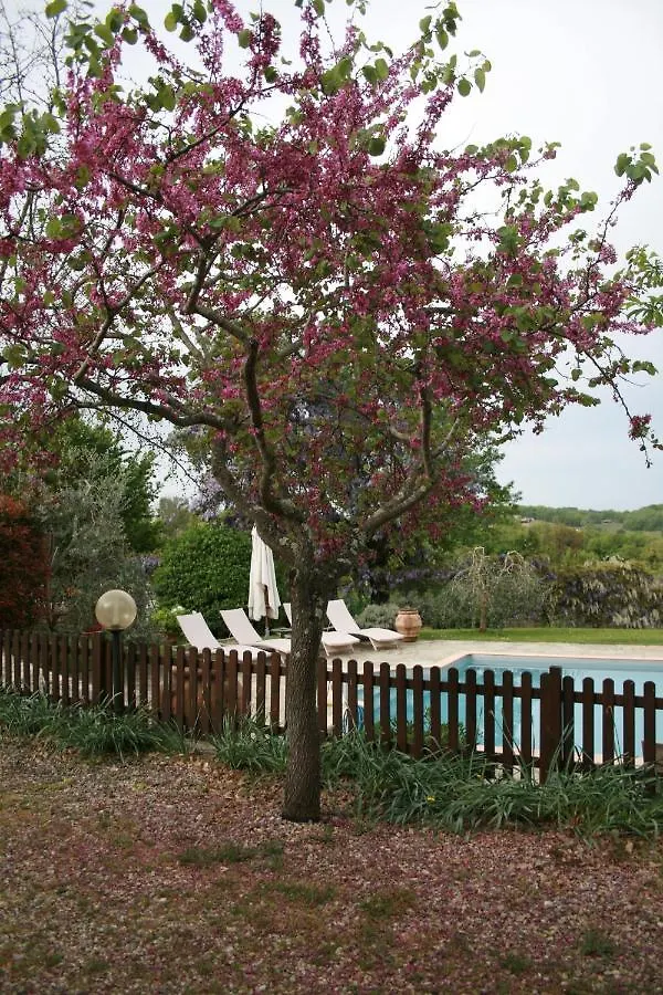 Casadellida Di Sandra Cacciarini Castellina in Chianti Holiday home