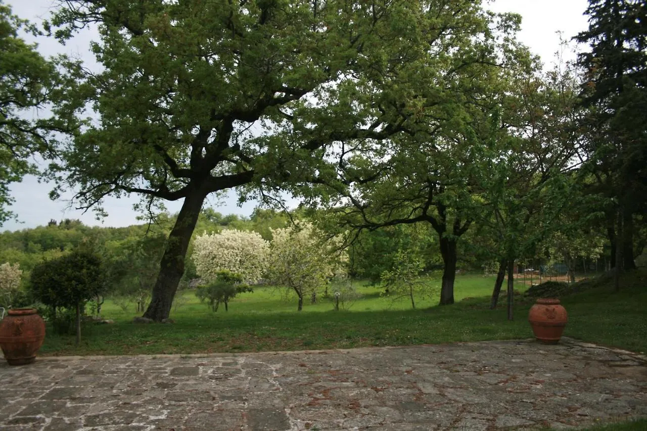 Holiday home Casadellida Di Sandra Cacciarini Castellina in Chianti